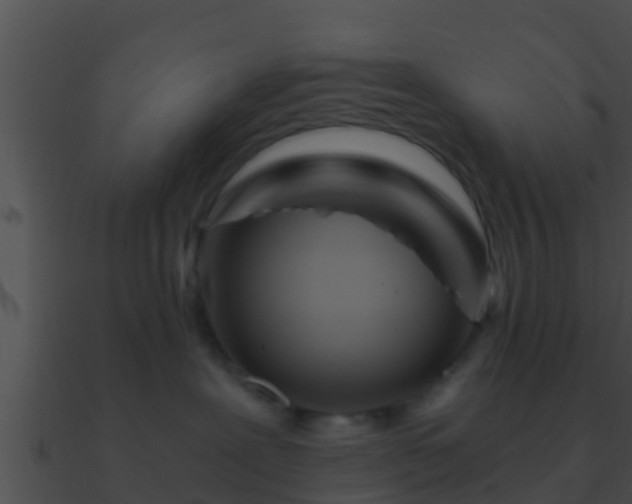 X0000090860239200708030954