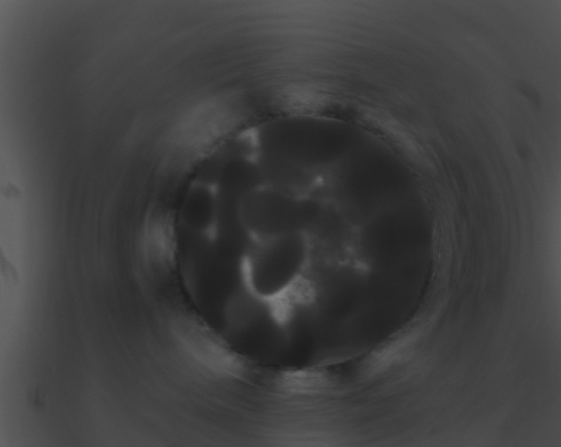 X0000090860240200708030954
