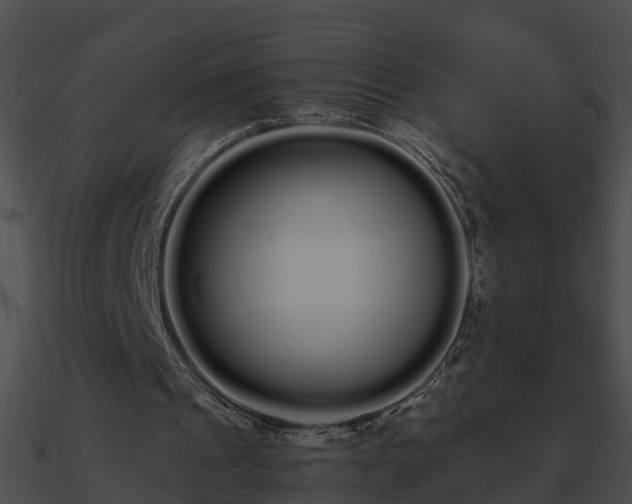 X0000090860241200708030954