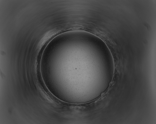 X0000090860242200708030954