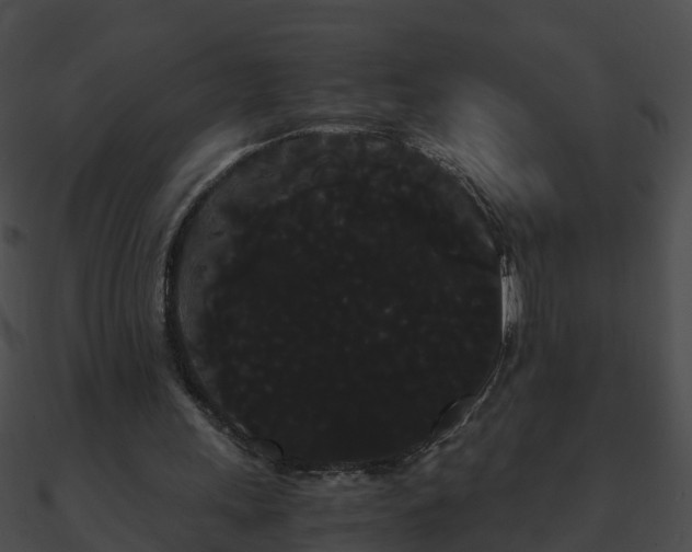 X0000090860243200708030954