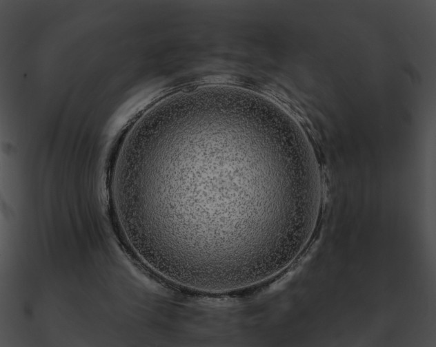 X0000090860245200708030954