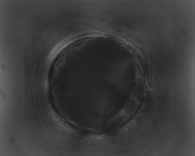 X0000090860247200708030954