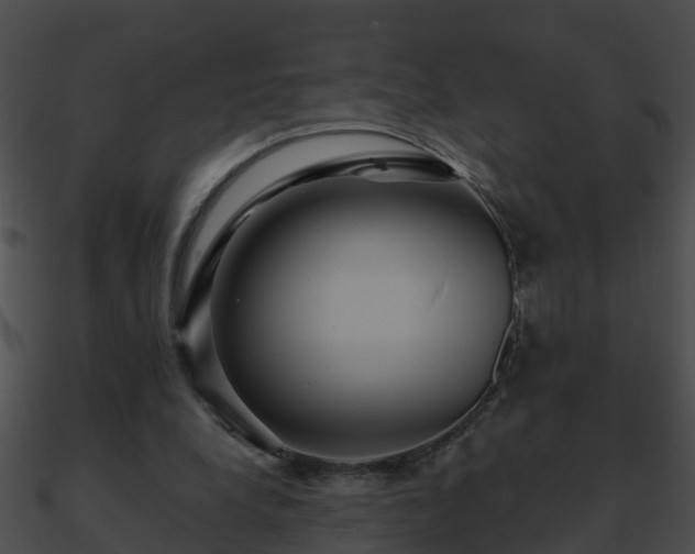 X0000090860248200708030954