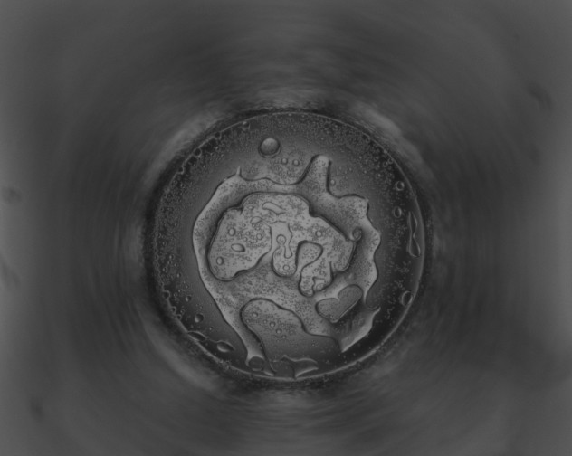 X0000090860250200708030954