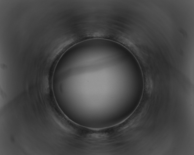 X0000090860251200708030954