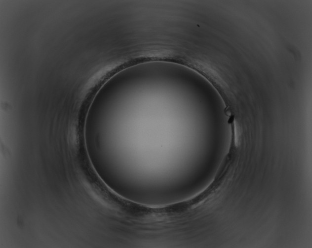 X0000090860252200708030954