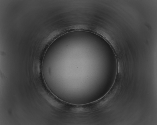 X0000090860253200708030954