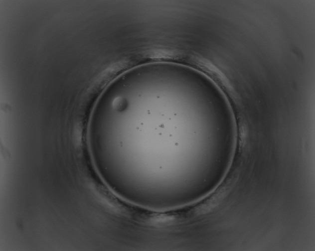 X0000090860257200708030954