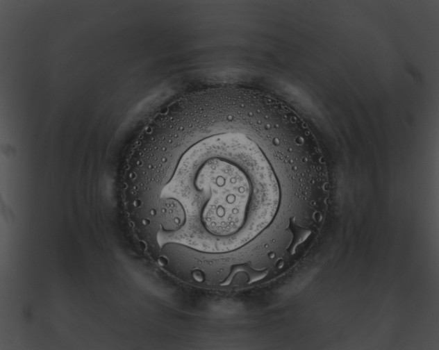 X0000090860258200708030954