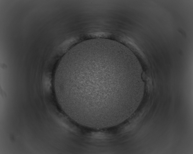 X0000090860259200708030954