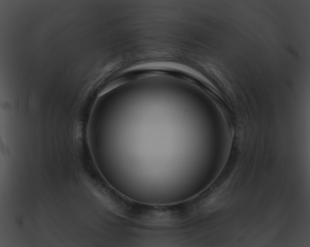 X0000090860260200708030954