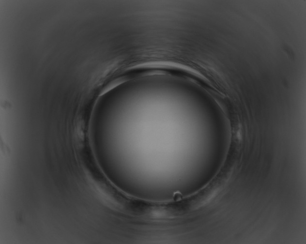 X0000090860264200708030954