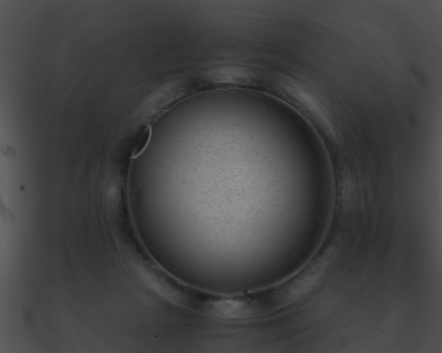 X0000090860265200708030954
