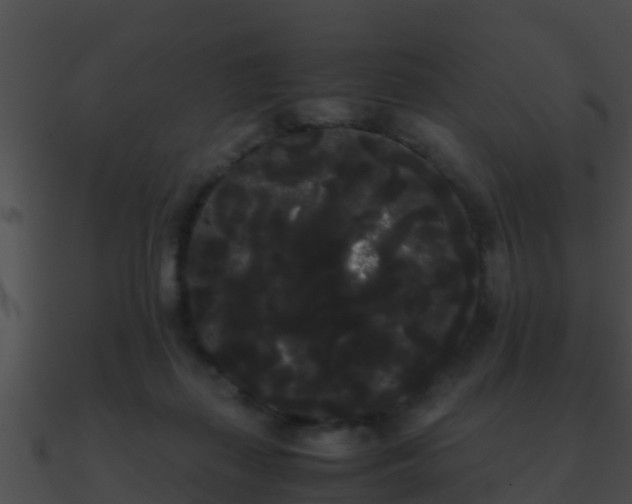 X0000090860267200708030954