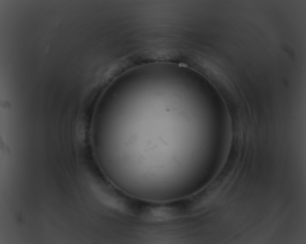 X0000090860268200708030954
