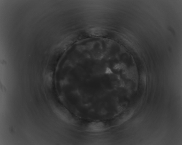 X0000090860271200708030954