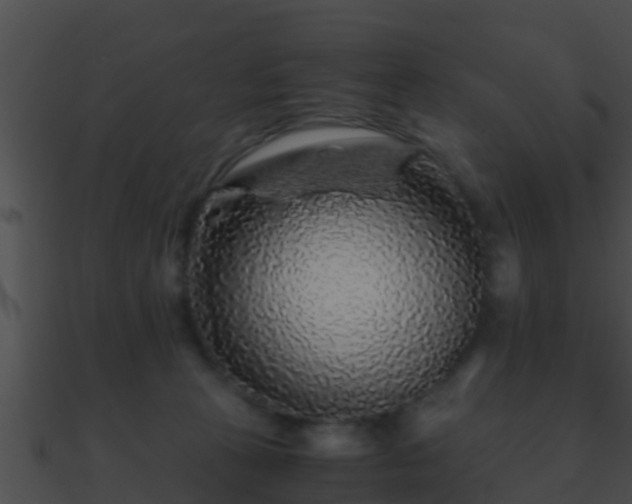 X0000090860273200708030954