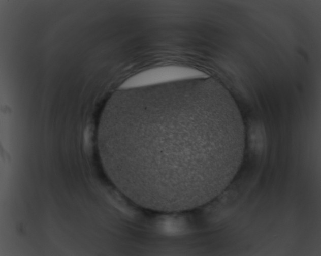 X0000090860275200708030954