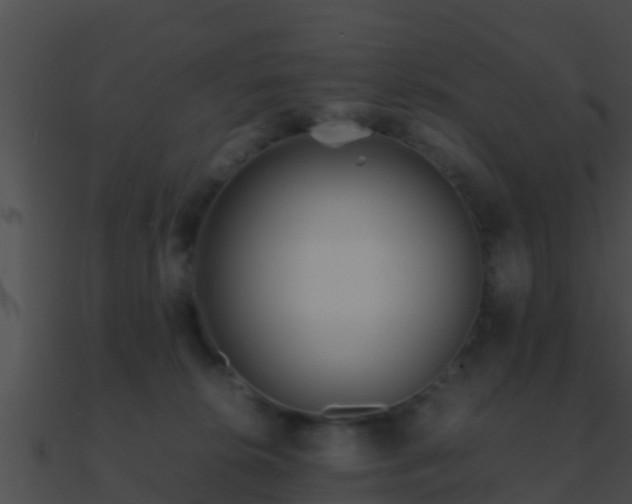 X0000090860276200708030954