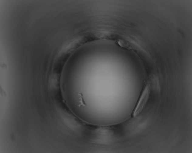 X0000090860280200708030954