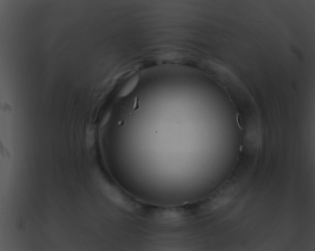 X0000090860282200708030954