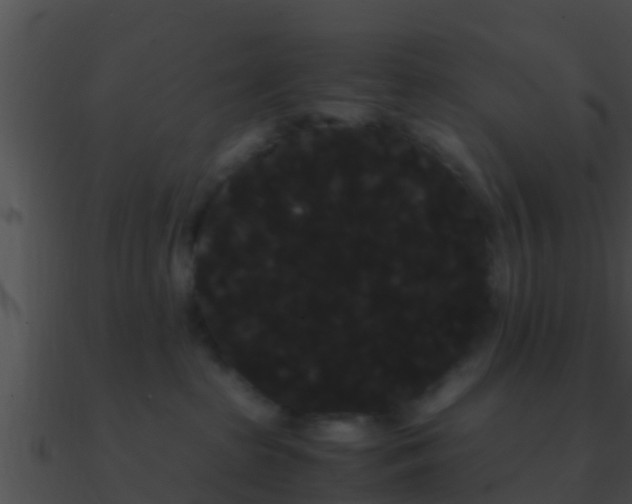 X0000090860285200708030954