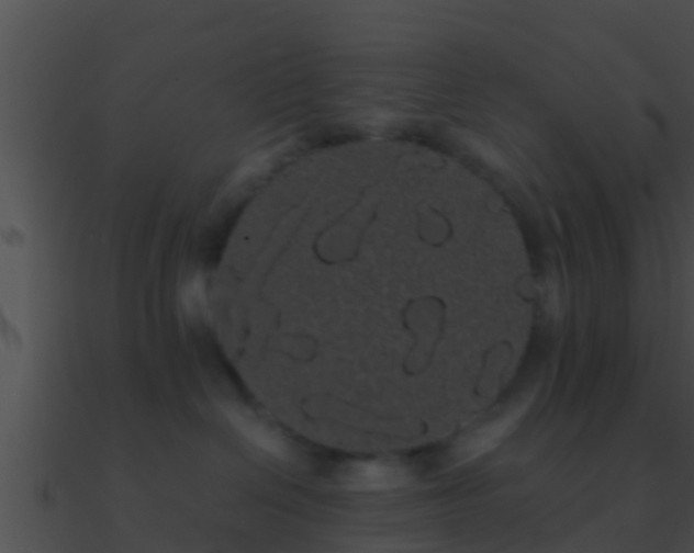 X0000090860286200708030954