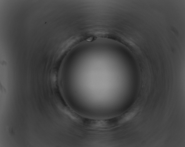 X0000090860288200708030954
