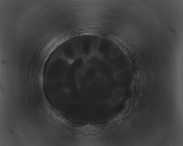 X0000090860290200708030953