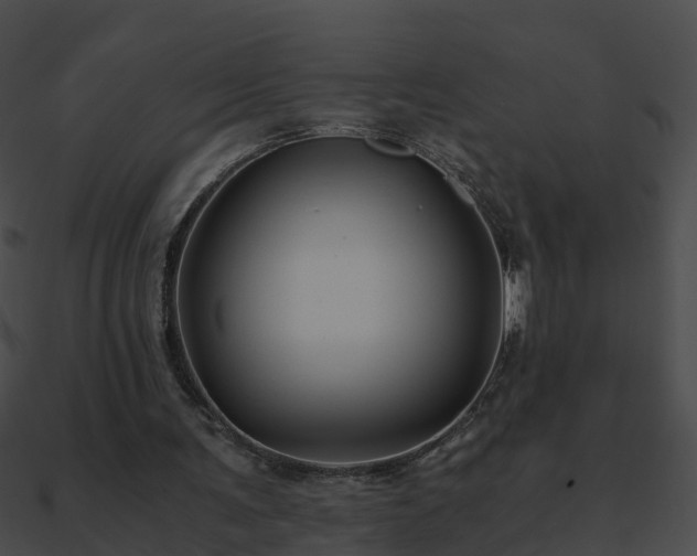 X0000090860291200708030953