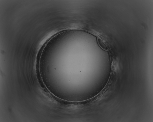X0000090860292200708030953
