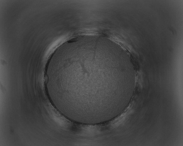 X0000090860293200708030953