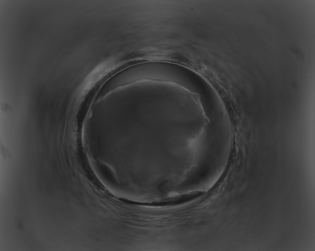 X0000090860295200708030953