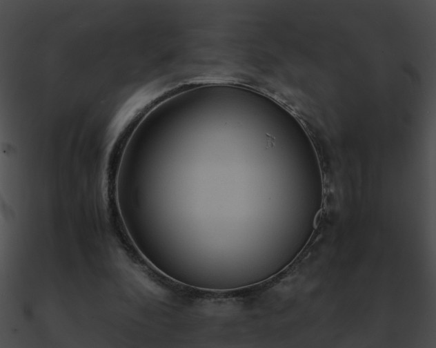 X0000090860296200708030953