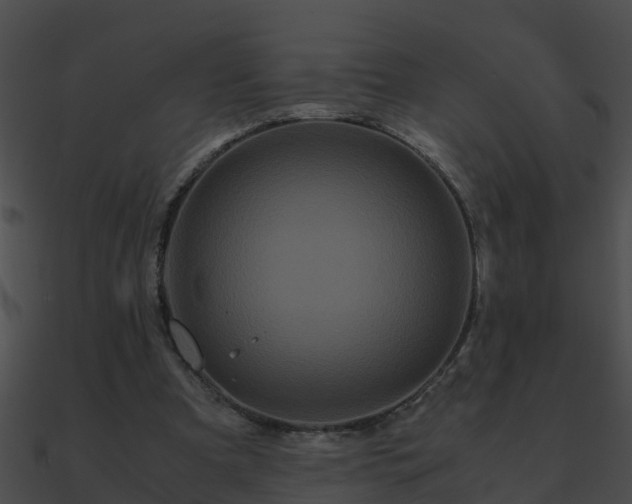 X0000090860297200708030953
