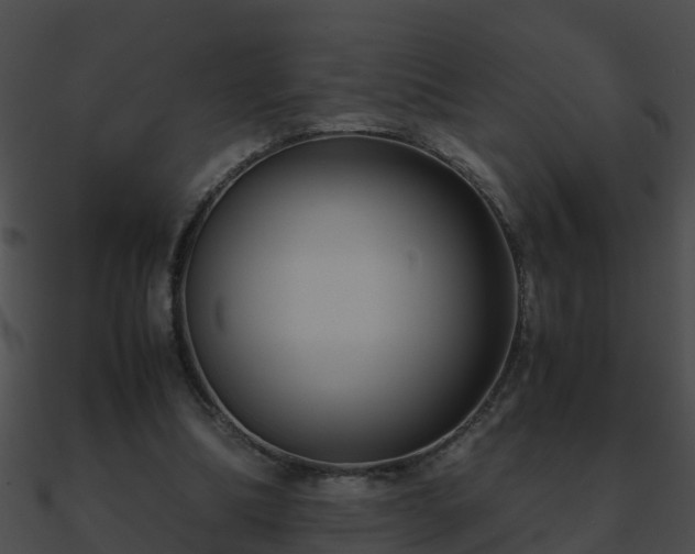 X0000090860298200708030953