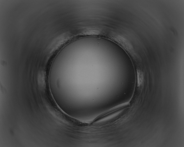 X0000090860300200708030953