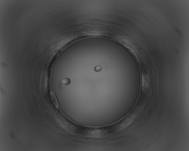 X0000090860301200708030953