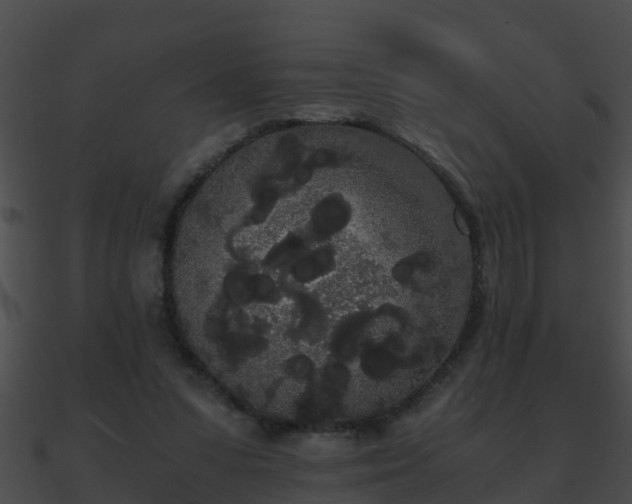 X0000090860303200708030953