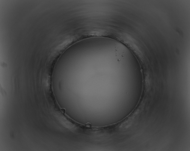 X0000090860305200708030953