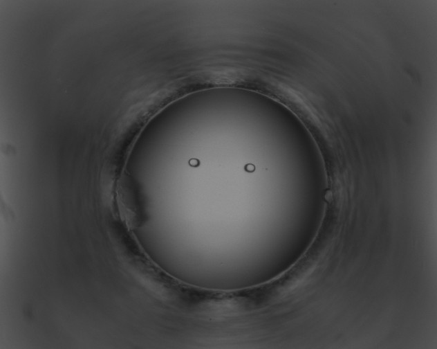 X0000090860307200708030953