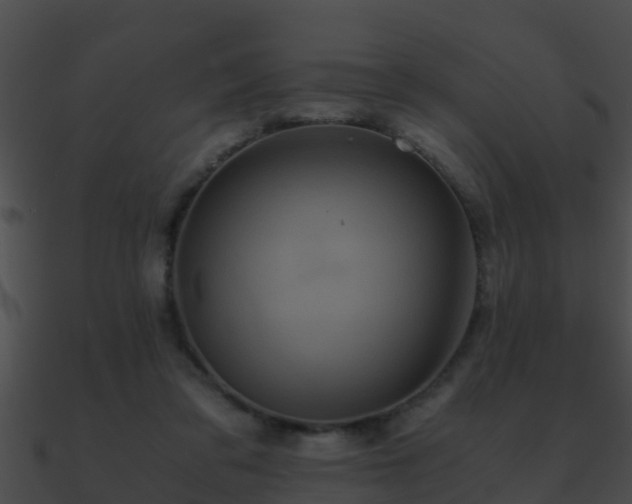 X0000090860309200708030953