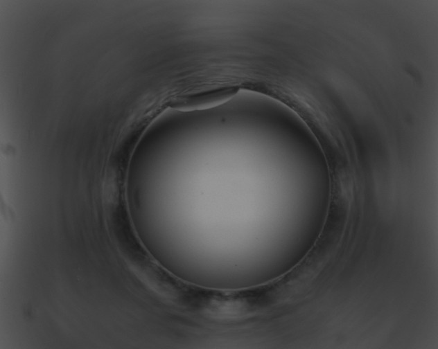 X0000090860311200708030953