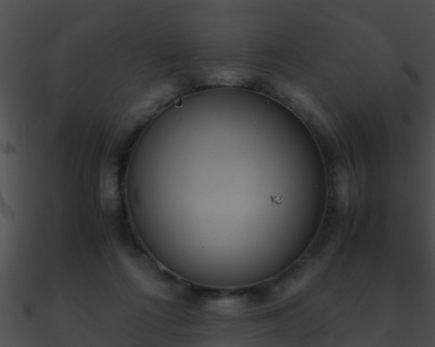 X0000090860312200708030953
