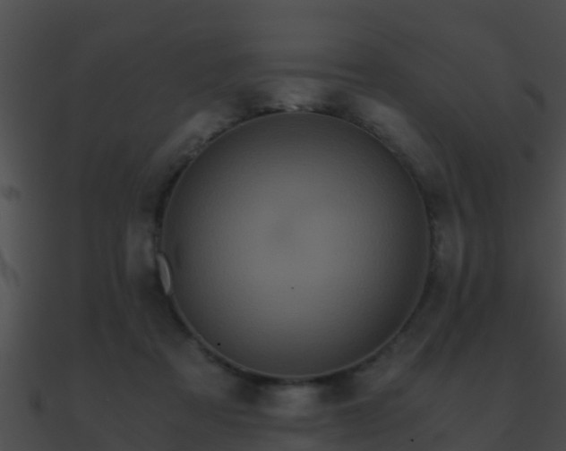 X0000090860313200708030953