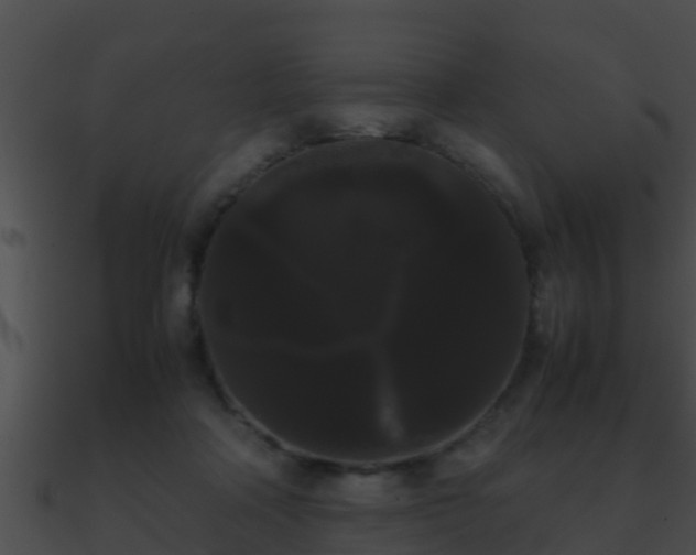 X0000090860314200708030953