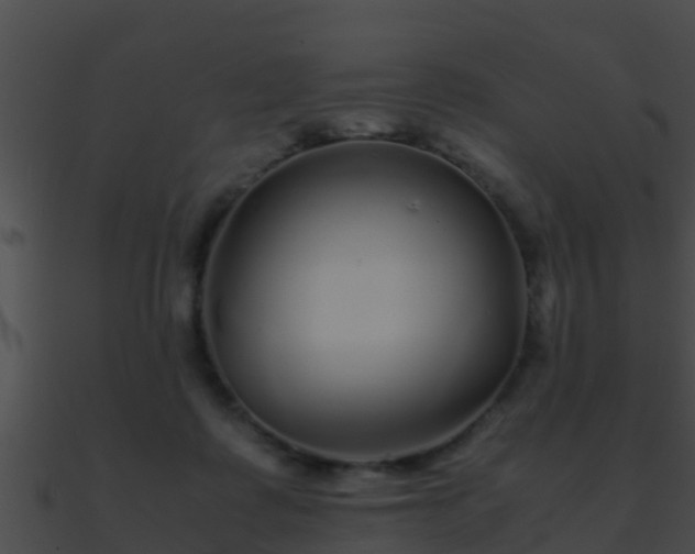 X0000090860315200708030953