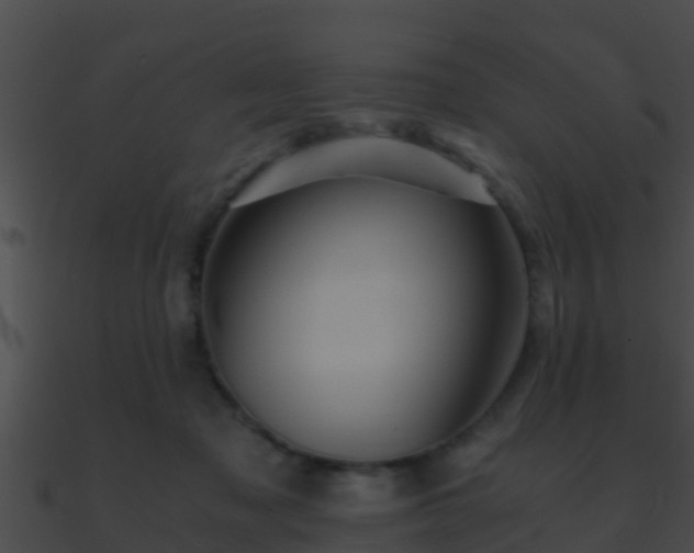 X0000090860317200708030953