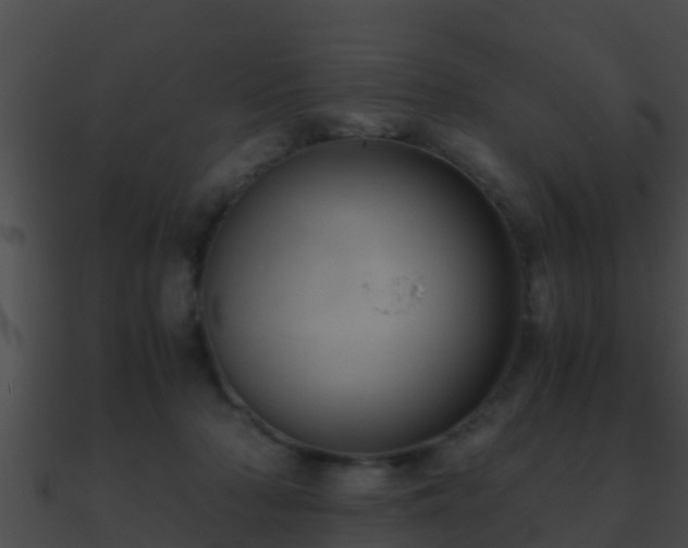 X0000090860318200708030953